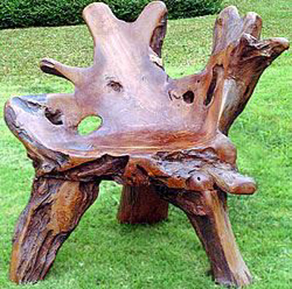 Picture of Groovystuff Bighorn Rustic Teak Root Chair