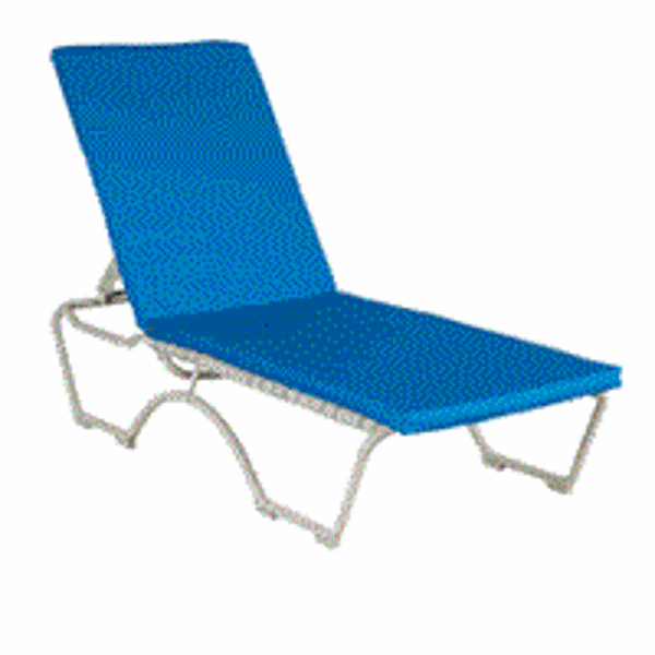 Picture of Chaise Pad 22" x 74"