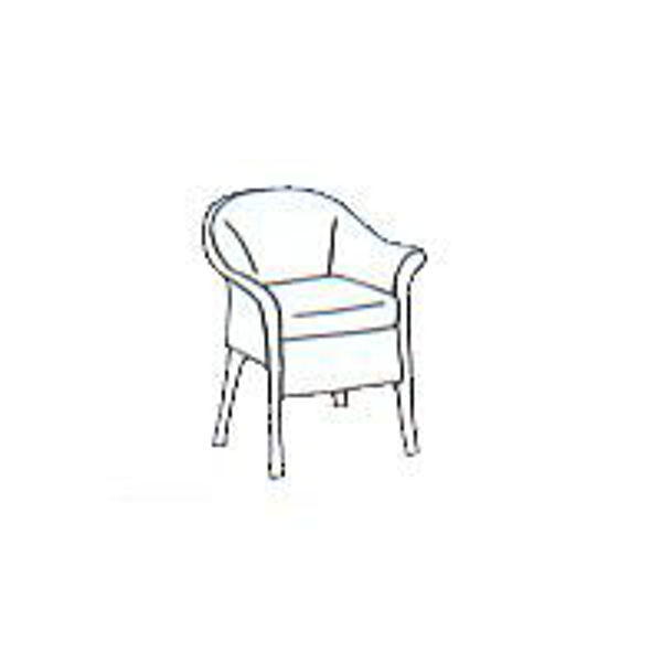 Picture of Paradiso Dining Cushion - Seats Only