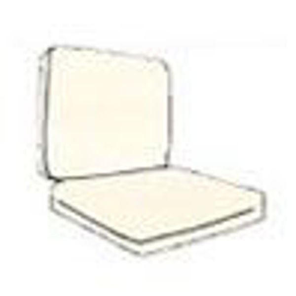 Picture of 2 pc. Lounge Chair (CUS25) NT25 Cushion