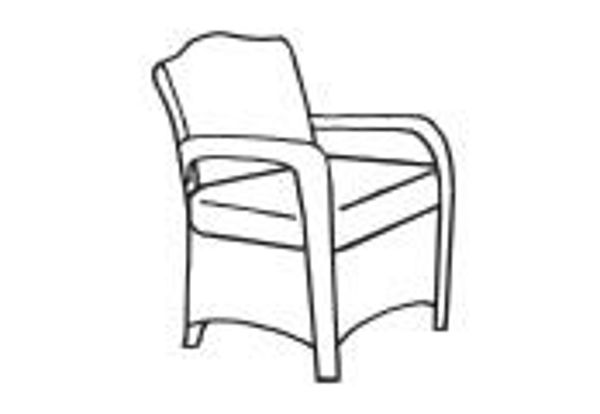 Picture of Paradise Side Chair