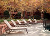 Picture of Telescope Casual Gardenella Sling, Stacking Cafe Chair