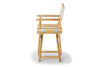 Picture of Telescope casual Youth Director Chair, Arm Chair