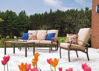 Picture of Telescope Casual Belle Isle Chair Back Cushion, Replacement