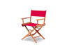 Picture of Telescope Casual World Famous Director Chair Canvas, Replacement