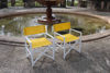 Picture of Bellini Home and Gardens Del Mar Director Chair (2 Pk) /w Maize Fabric