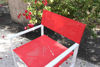 Picture of Bellini Home and Gardens Del Mar Director Chair (2 Pk) /w Rouge Fabric