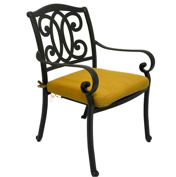 Picture of Paragon Casual Gabrielle Dining Arm Chair 