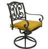 Picture of Paragon Casual Gabrielle Swivel Rocker