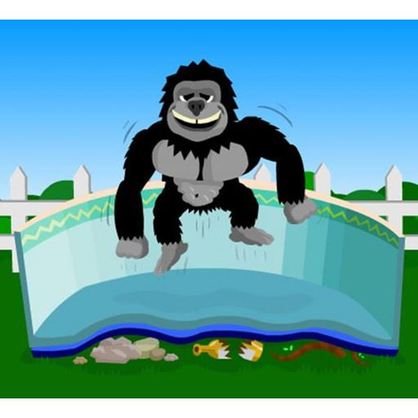 Picture of 12' x 24' OVAL GORILLA PAD