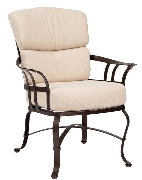 Picture of Woodard Atlas Dining Arm Chair