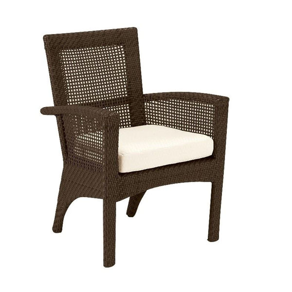 Picture of Woodard Trinidad Dining Arm Chair 