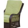 Picture of Hanover Orleans 3-Piece Glider Set - Brown / Green