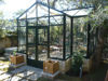 Picture of Exaco Royal Victorian Orangerie Greenhouse