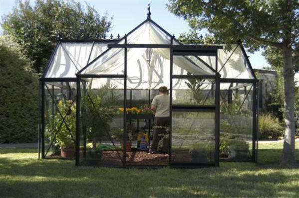 Picture of Exaco Junior Victorian greenhouse